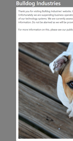 Bulldog 1 screenshot