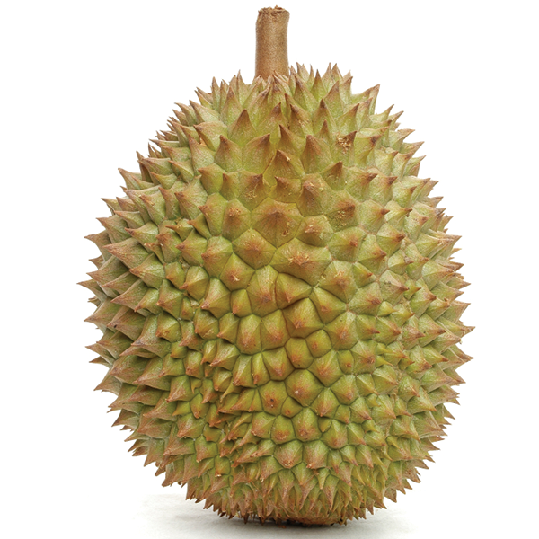 Durian: 1 ~ VulnHub