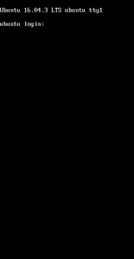 g0rmint 1 screenshot