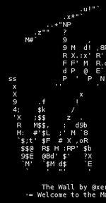 The Wall 1 screenshot