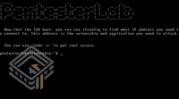 Lab Walkthrough - Shockin' Shells: ShellShock (CVE-2014-6271)