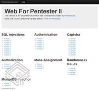 Pentester Lab Web For Pentester II screenshot