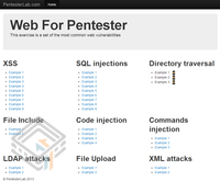 Pentester Lab Web For Pentester screenshot