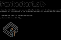 Pentester Lab Play XML Entities screenshot