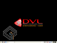 Damn Vulnerable Linux (DVL) 1.4 (Strychnine & E605) screenshot