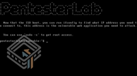Pentester Lab Play Session Injection screenshot