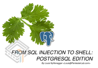 Pentester Lab From SQL injection to Shell: PostgreSQL edition screenshot