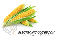 Pentester Lab Electronic CodeBook (ECB) screenshot